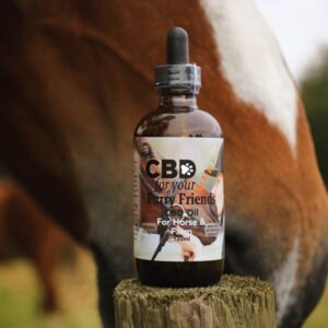 CBD Oil - Horses