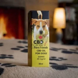 CBD For large Dogs Canada